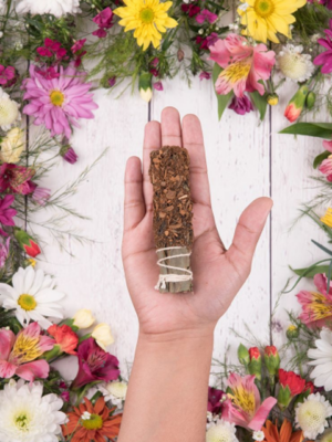 Sahumito de Canela y Anís – Sagrada Madre