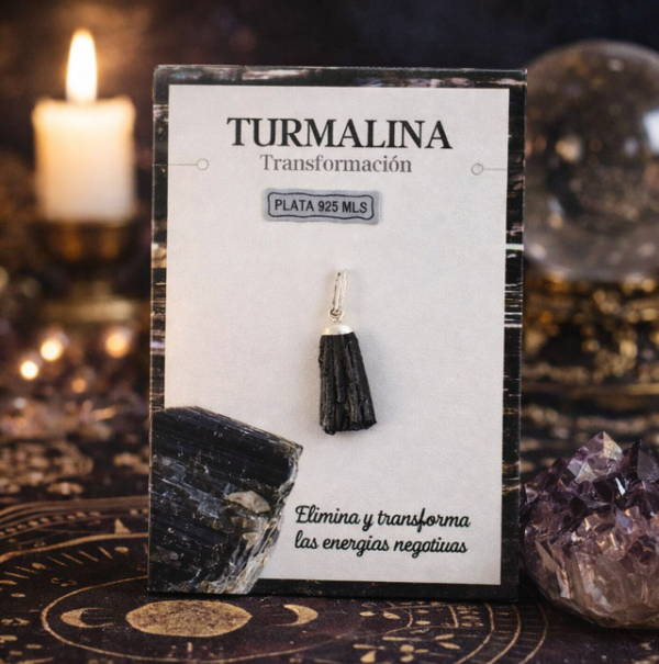 Colgante Turmalina negra y plata