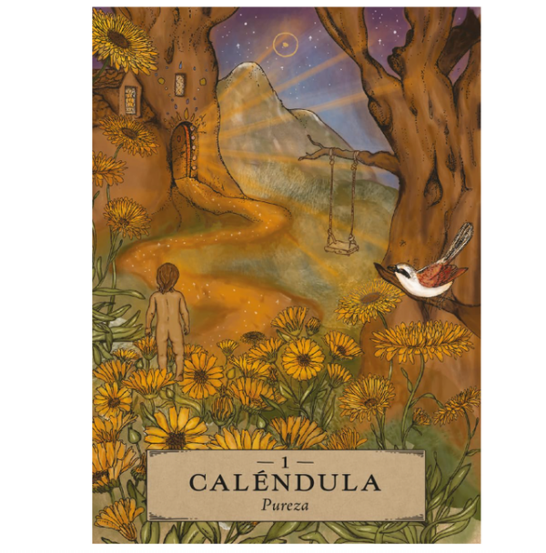 Astrología Herbal, Oráculo – Adriana Ayales y Joséphine Klerks · Arkano Books