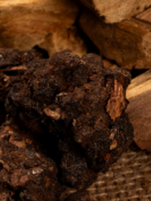 Palo Santo y Mirra – Sagrada Madre – Varilla Suelta