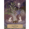 Astrología Herbal, Oráculo – Adriana Ayales y Joséphine Klerks · Arkano Books