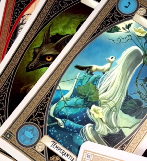 img_7VE9AZQA2A8GGAYZXY6VMEBAVA Tarot de las Brujas – Edelvives